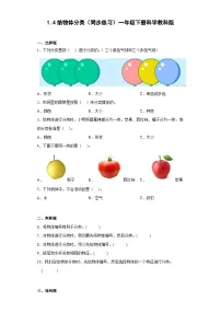 科学一年级下册4.给物体分类精品课后复习题