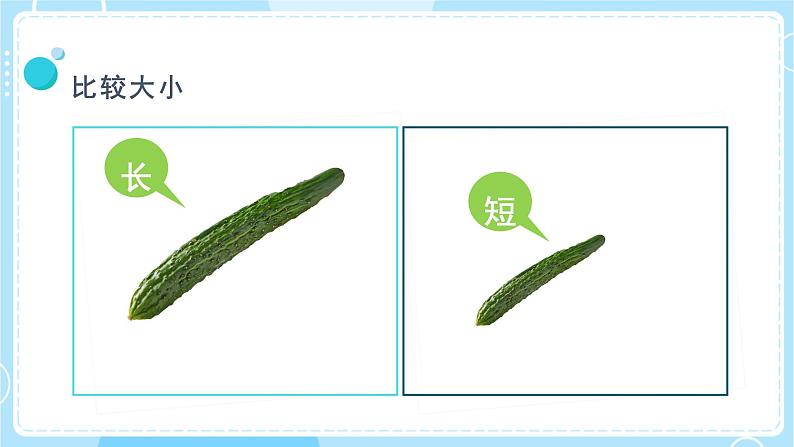 【教科版】一上科学  第2单元第1课-在观察中比较  (课件+素材)06