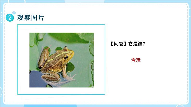 【教科版】一上科学 1.5 植物是“活”的吗 课件 第6页