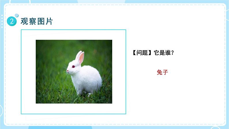 【教科版】一上科学 1.5 植物是“活”的吗 课件 第7页