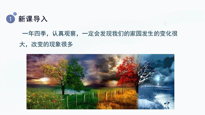 1.6 不同的季节(课件) 第4页