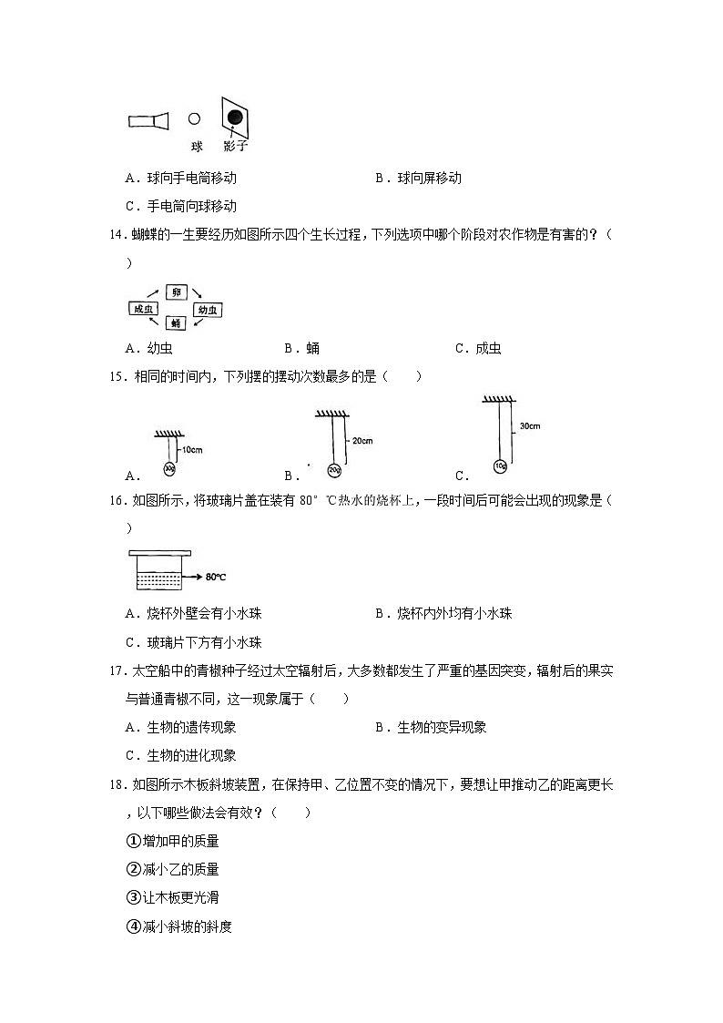 2023年广东省佛山市南海区狮山镇小升初科学试卷(含答案解析)03