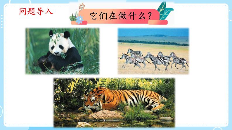 【大象版】二上科学 4.1参观动物园 课件02