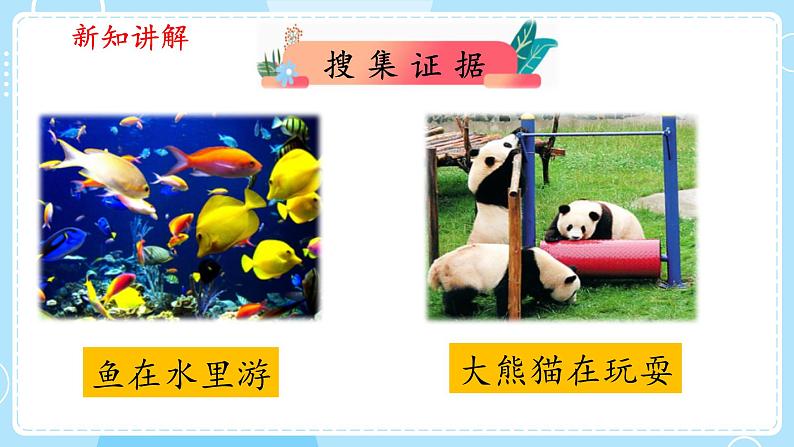 【大象版】二上科学 4.1参观动物园 课件05