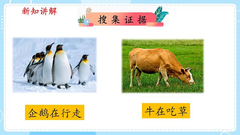 【大象版】二上科学 4.1参观动物园 课件06