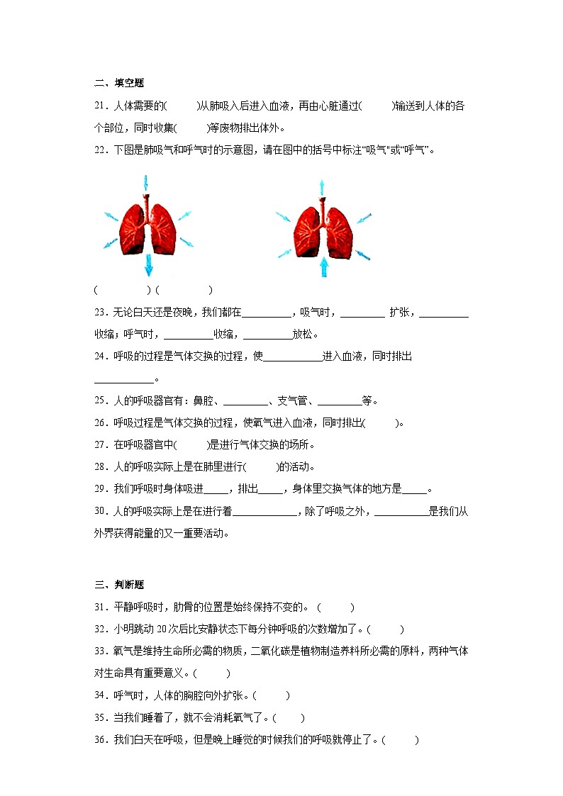 教科版科学四年级上册第二单元第1课时 同步分层练习第3页