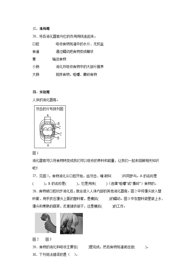 教科版科学四年级上册第二单元第2.8课时   同步分层练习第3页