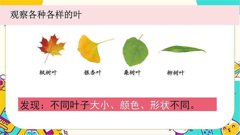 【核心素养】1-3《观察叶》课件PPT+教学详案04