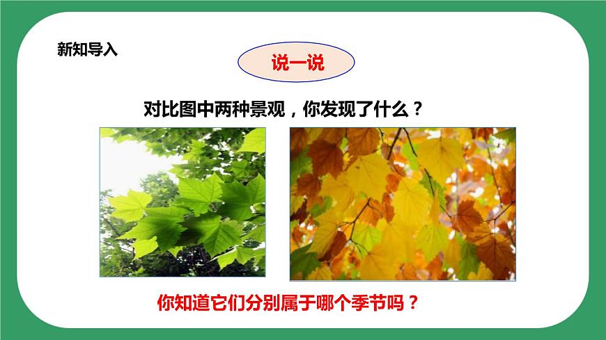 第三單元第9課時《樹葉變黃了》課件第2頁