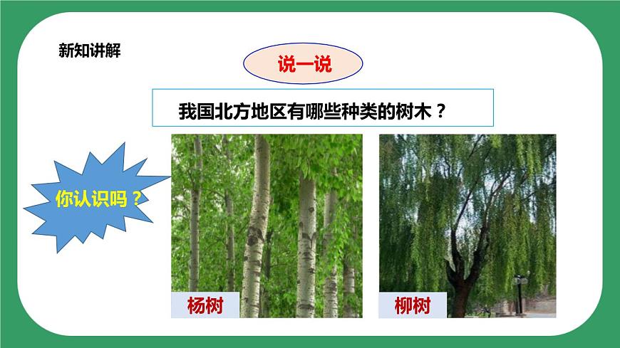 第三單元第9課時《樹葉變黃了》課件第5頁