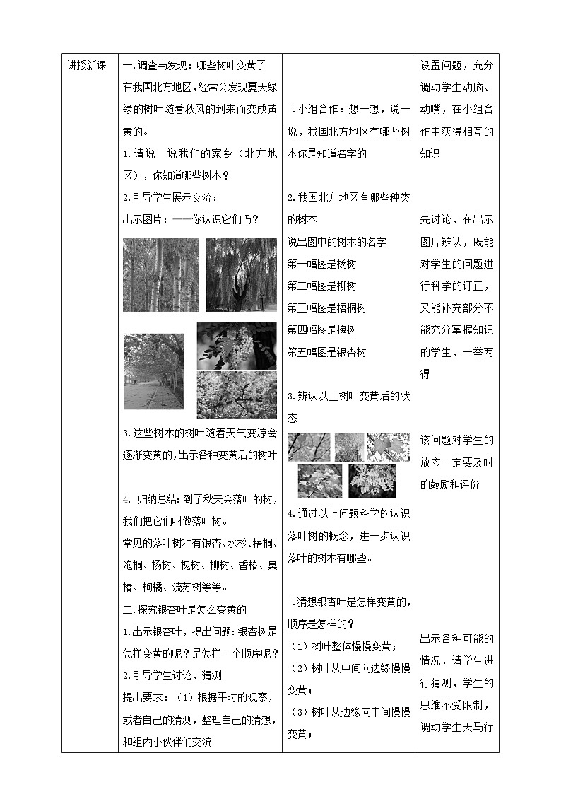 蘇教版小學(xué)科學(xué)一上第三單元第9課時《樹葉變黃了》教案第2頁