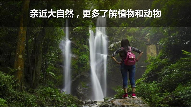 第7课-做大自然的孩子第2页