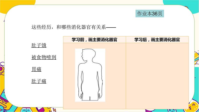 四上2.8食物在身体里的旅行第4页