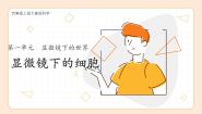 小学1 显微镜下的细胞一等奖教学ppt课件