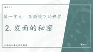 科学六年级上册2 发面的秘密优秀教学课件ppt