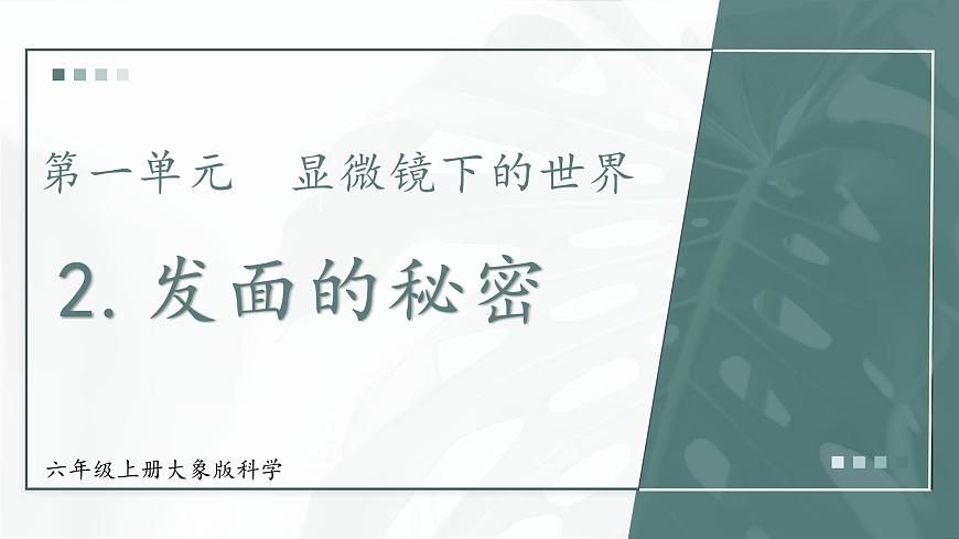 大象版科學(xué)六年級(jí)上冊(cè) 1.2 發(fā)面的秘密 教學(xué)課件第1頁(yè)