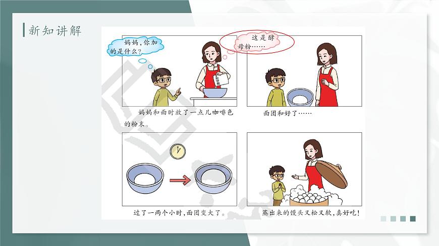 大象版科學(xué)六年級(jí)上冊(cè) 1.2 發(fā)面的秘密 教學(xué)課件第8頁(yè)