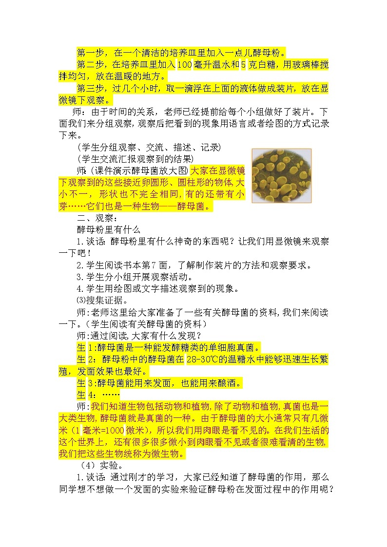 大象版科學(xué)六年級(jí)上冊(cè) 1.2發(fā)面的秘密 同步教案第3頁(yè)