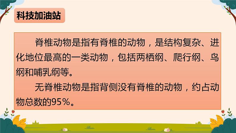 苏教版科学四年级上册 1.1给动物分类 课件第8页