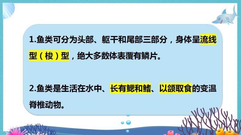 苏教版科学四年级上册 1.2鱼类 课件+教案+同步练习06