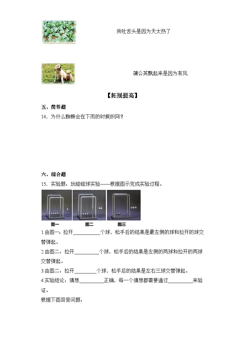 【分层练习】苏教版(2017)科学一年级上册--3.7做个小侦探 练习(含解析)第2页