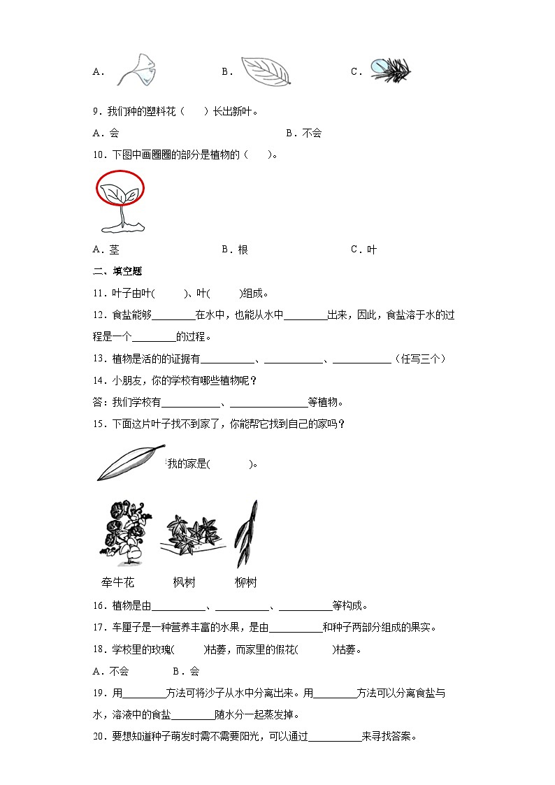 【单元测试】教科版(2017)科学一年级上册--第一单元 植物 单元测试卷1(含答案)第2页