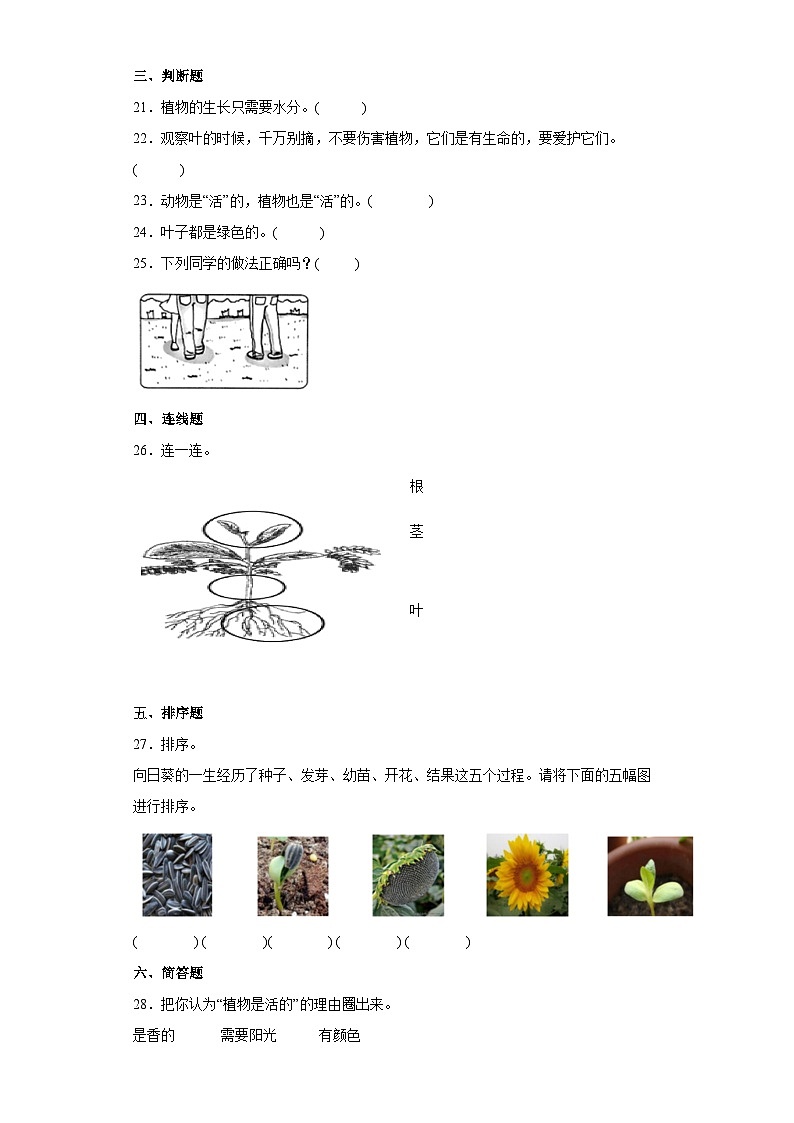 【单元测试】教科版(2017)科学一年级上册--第一单元 植物 单元测试卷1(含答案)第3页