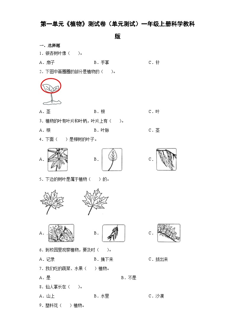 【单元测试】教科版(2017)科学一年级上册--第一单元 植物 单元测试卷2（含答案)01