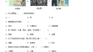 【单元测试】教科版(2017)科学二年级上册--第二单元《材料》 单元测试3