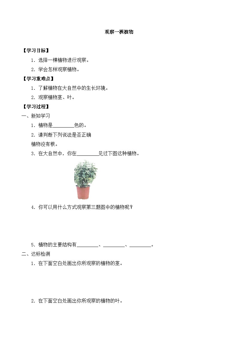 【同步导学案】教科版科学一年级上册-第一单元:2观察一棵植物-导学案01