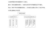 青岛版 (六三制2017)三年级上册3 动物的翅膀精品习题