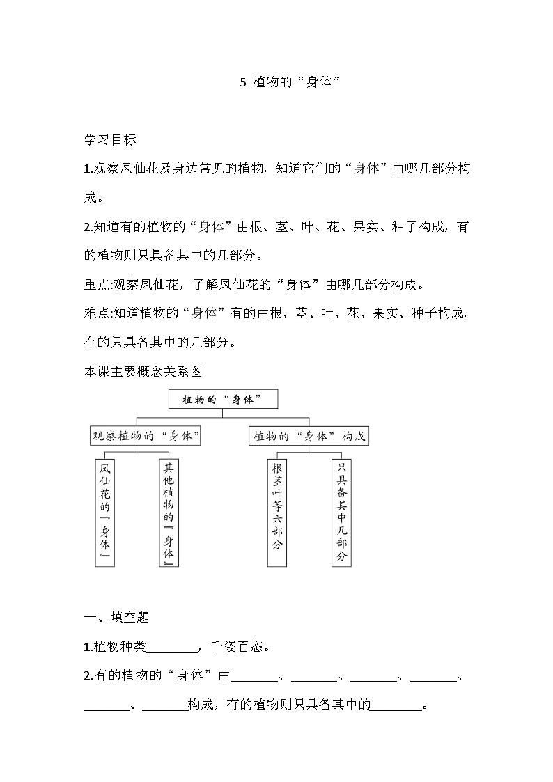 【同步练习】青岛版(六三制)科学三年级上册-5 植物的“身体” 练习(含答案)01
