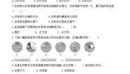 小学科学教科版 (2017)六年级上册4.观察洋葱表皮细胞优秀课时练习