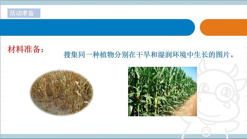 青岛版(六三制2017秋)科学二年级上册《11.植物和水》(课件)02