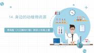 小学科学青岛版 (六三制2017)二年级上册14 身边的动植物资源完整版课件ppt