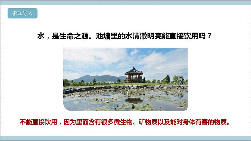 【核心素養(yǎng)】人教鄂教版科學五上 3.8《水中的微小的生物》課件第3頁