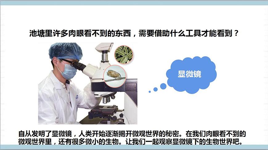 【核心素養(yǎng)】人教鄂教版科學五上 3.8《水中的微小的生物》課件第4頁
