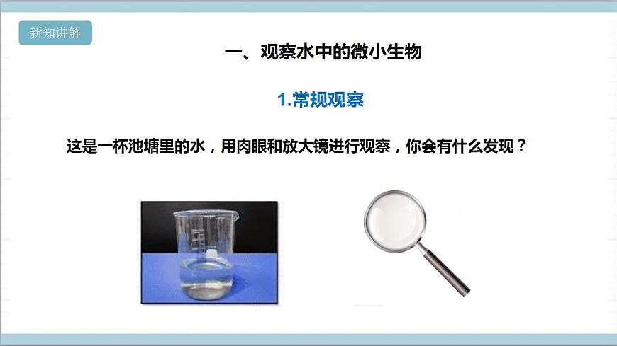 【核心素養(yǎng)】人教鄂教版科學五上 3.8《水中的微小的生物》課件第5頁