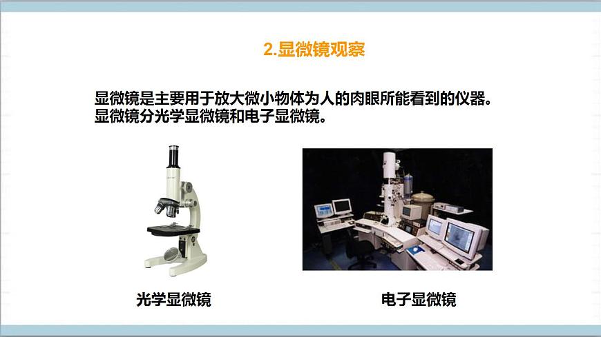 【核心素養(yǎng)】人教鄂教版科學五上 3.8《水中的微小的生物》課件第8頁