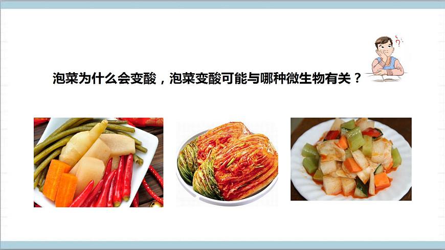 【核心素養(yǎng)】人教鄂教版科學(xué)五上 3.10《多種多樣的微生物》課件第5頁