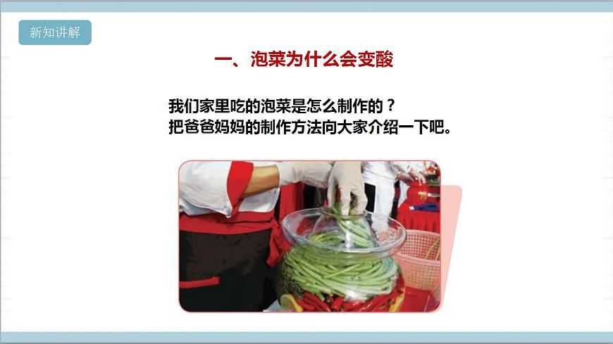 【核心素養(yǎng)】人教鄂教版科學(xué)五上 3.10《多種多樣的微生物》課件第6頁
