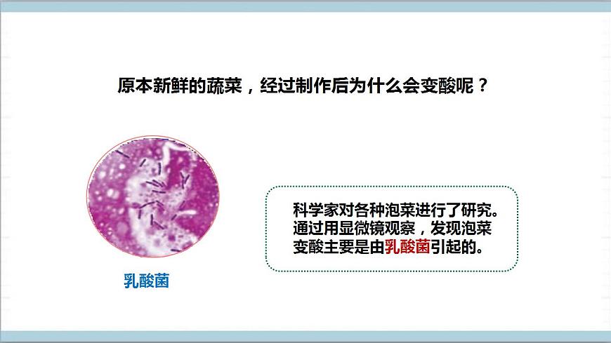 【核心素養(yǎng)】人教鄂教版科學(xué)五上 3.10《多種多樣的微生物》課件第8頁