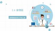 人教鄂教版 (2017)六年级上册6 食物链试讲课ppt课件