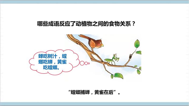 【核心素养】人教鄂教版科学六上 2.6《食物链》课件+教案+分层练习(含答案)04