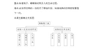 大象版 (2017)三年级上册4 动物的一生优秀课后测评