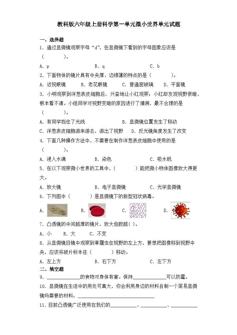 【单元测试】教科版(2017)科学六年级上册-第一单元:微小世界 单元试题(含答案)01