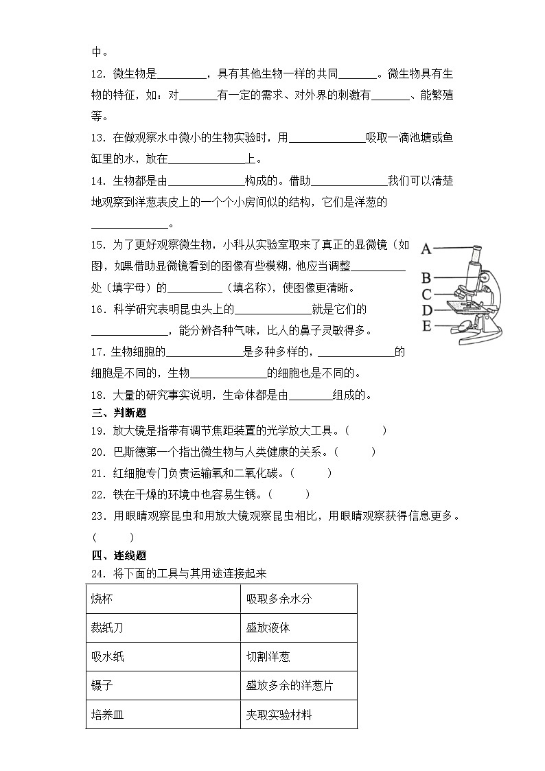 【单元测试】教科版(2017)科学六年级上册-第一单元:微小世界 单元试题(含答案)02