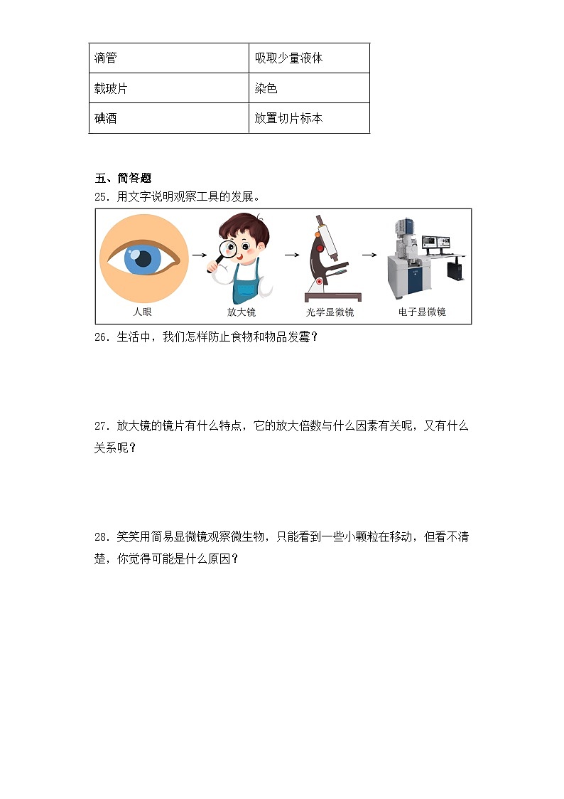 【单元测试】教科版(2017)科学六年级上册-第一单元:微小世界 单元试题(含答案)03