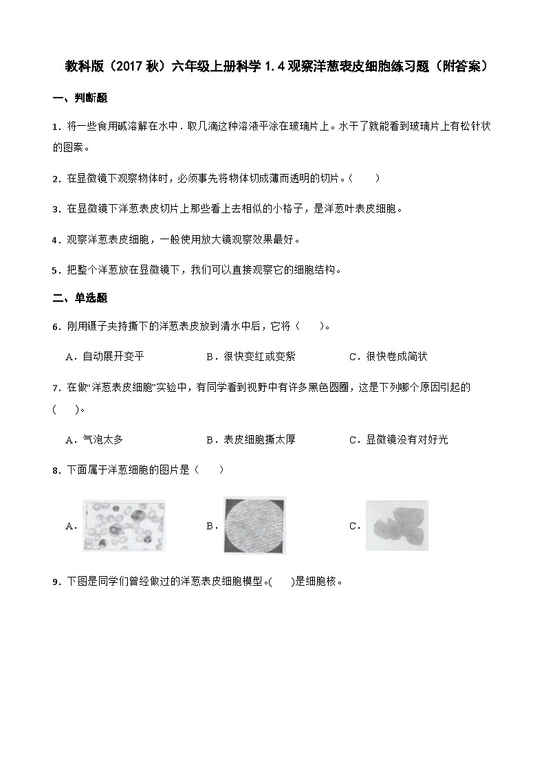 【同步练习】教科版(2017)科学六年级上册--1.4观察洋葱表皮细胞 练习题(附答案)01