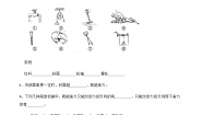 科学六年级上册5.灵活巧妙的剪刀精品课时作业